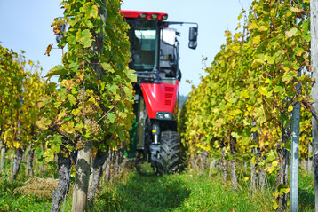 In den Traubenvollernter von ERO soll die neue Sensortechnik integriert werden.