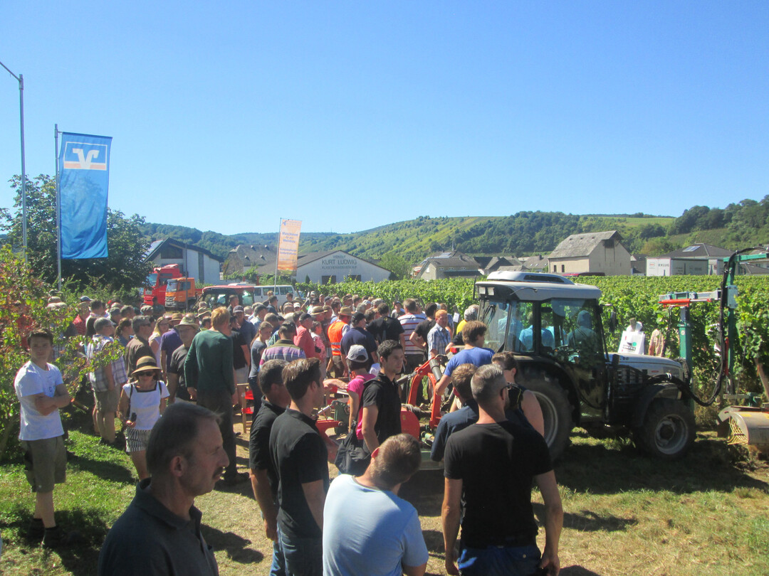 Bis zu 1000 Besucher pro Tag werden an der Mosel erwartet.