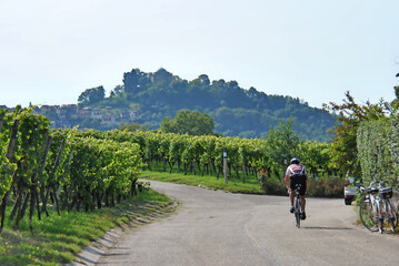 Wertsch�pfung durch Weintourismus � dieses Potenzial ist im L�ndle l�ngst nicht ausgesch�pft.