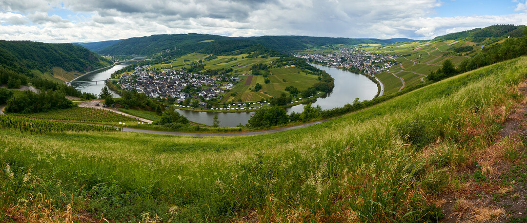 Das Forschungsprojekt Biodiversitt in Weinbausteillagen hatte eine zehnjhrige Laufzeit. Der Abschlussbericht ist ab sofort verfgbar. 