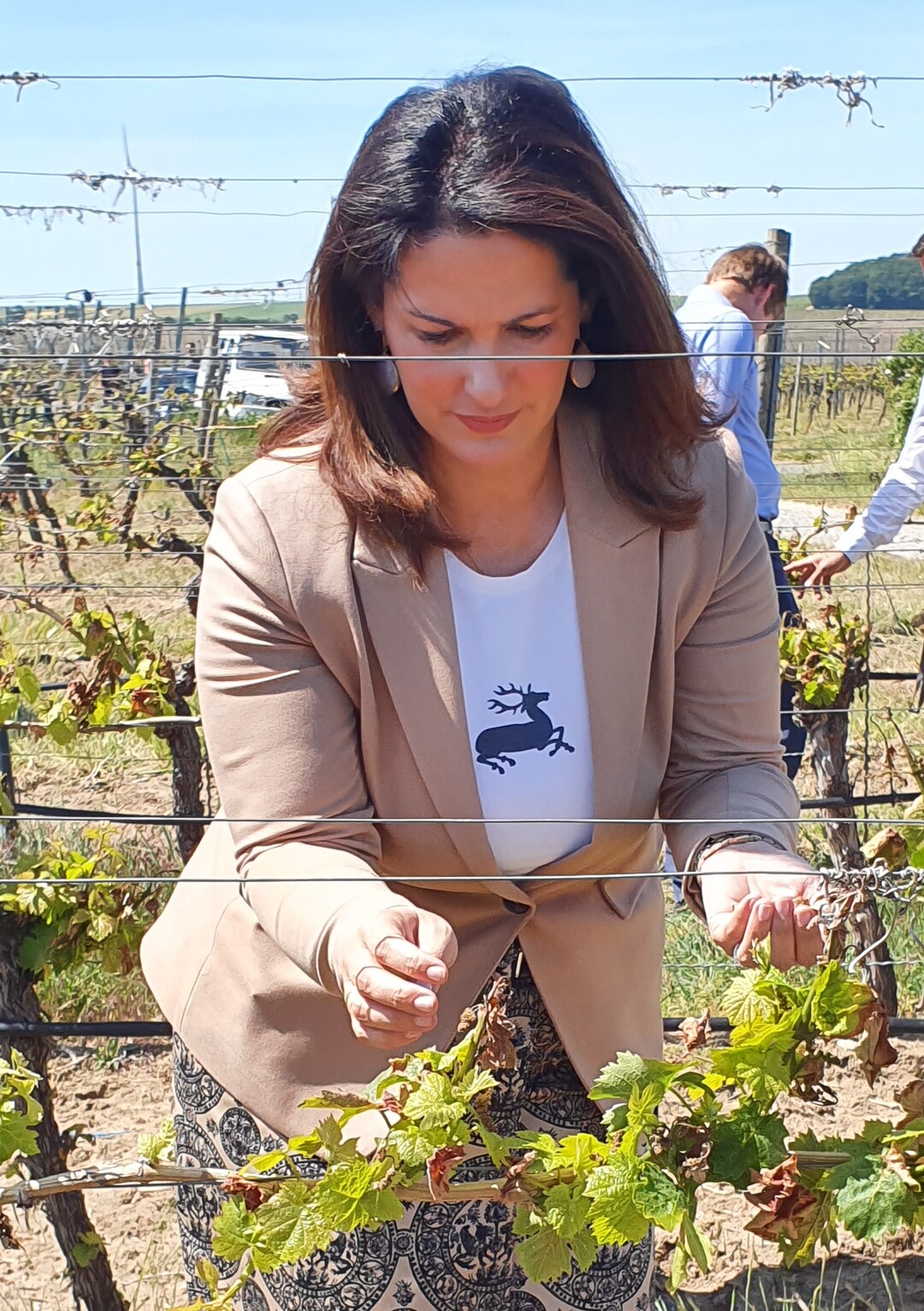  Die Landwirtschaftsministerin Michaela Kaniber bei der Begutachtung von Frostschden in den Weinbergen bei Kitzingen. 