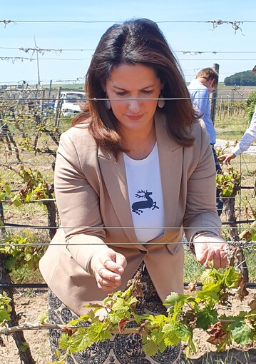  Die Landwirtschaftsministerin Michaela Kaniber bei der Begutachtung von Frostschden in den Weinbergen bei Kitzingen. 