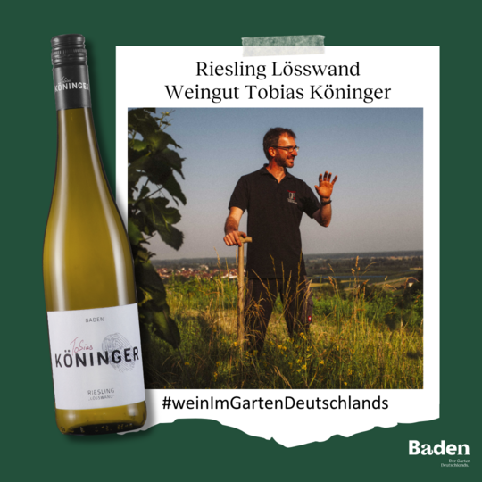 Die Topplatzierung geht in diesem Jahr an das Weingut Tobias Kninger in der Ortnenau.