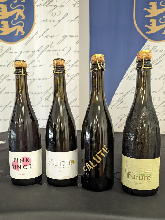 Die Sekt-Ergebnisse der vier Gruppen: Pink Pinot, 25Light, Salute und Sparkling
4
Future.