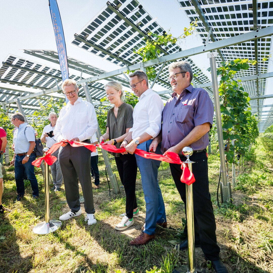 Beid er Eröffnung (v.l.): Ulrich von Kirchbach (Erster Bürgermeister Stadt Freiburg), Thekla Walker (Ministerin für Umwelt, Klima und Energiewirtschaft des Landes Baden-Württemberg), Heinz-Werner Hölscher (Vorstand badenova AG & Co. KG) und Edgar Gimbel (CEO Gsun GmbH, Winzer und Projektinitiato).