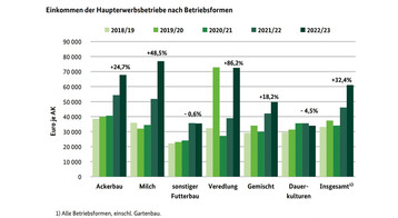 Die Einkommen der Haupterwerbsbetriebe nach Betriebsformen.