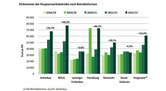 Die Einkommen der Haupterwerbsbetriebe nach Betriebsformen.