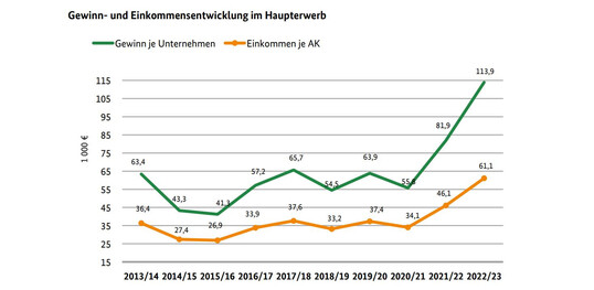 Die Gewinn- und Einkommensentwicklung im Haupterwerb.