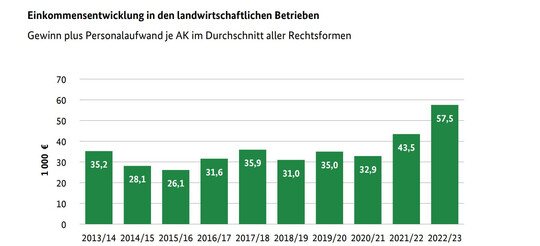 Die Einkommensentwicklung in den landwirtschaftlichen Betrieben.