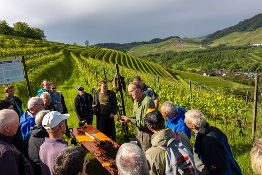 In Theorie und Praxis lernten die Teilnehmer, wie wichtig Humus fr den Weinbergsboden ist.