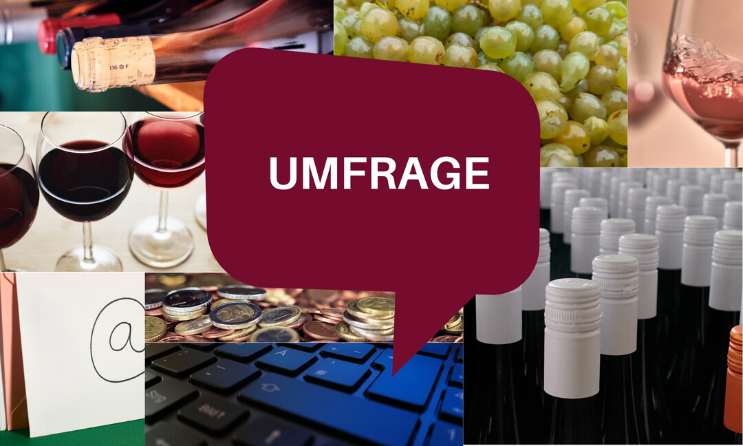 Wie in den vergangenen Jahren wurde auch 2023/2024 in Franken wieder eine Konjunkturumfrage durch die Bayerische Landesanstalt für Weinbau und Gartenbau durchgeführt. Wie ist die Stimmung?
