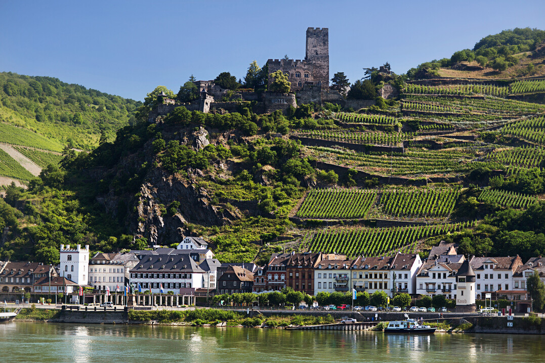 Der Mittelrhein ist nach einem Verlust von sechs Hektar Rebflche im vergangenen Jahr das kleinste Anbaugebiet Deutschlands.