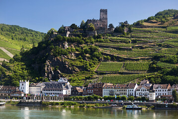 Der Mittelrhein ist nach einem Verlust von sechs Hektar Rebflche im vergangenen Jahr das kleinste Anbaugebiet Deutschlands.