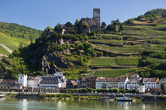 Der Mittelrhein ist nach einem Verlust von sechs Hektar Rebflche im vergangenen Jahr das kleinste Anbaugebiet Deutschlands.