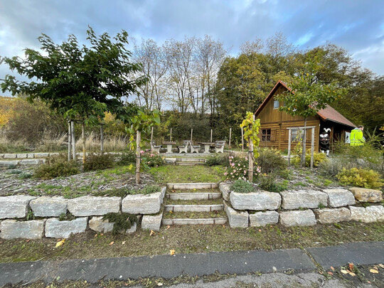 Beispiel für gelungene Biodiversität: die Abt-Ludwig-Winzerhütte in Oberschwarzach gehört zu den Preisträgern des Wettbewerbs „Aufgeblüht“ des Fränkischen Weinbauverbands.