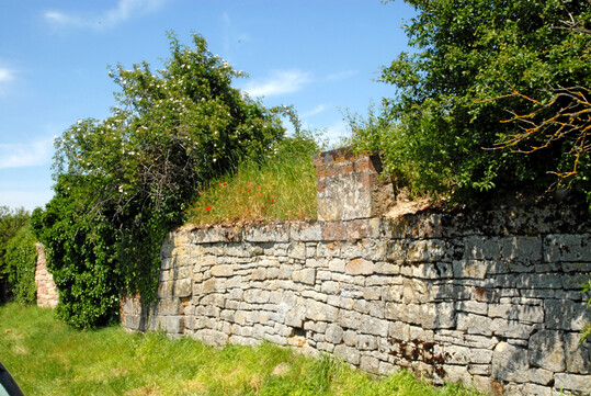 Hecken und Trockensteinmauern bieten Lebensraum fr Ntzlinge, Vgel und zahlreiche andere Arten.