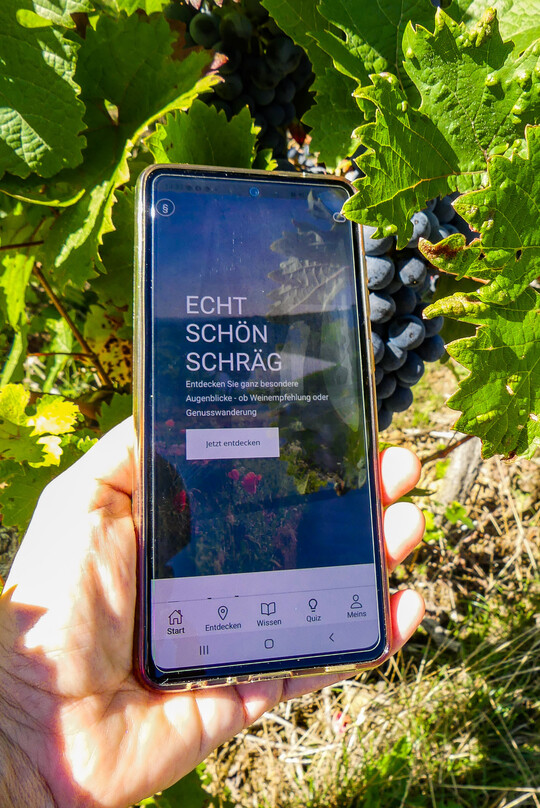 Gewinner Württemberg: die Steillagen-App „Echt. Schön. Schräg“ des Landratsamts Ludwigsburg.