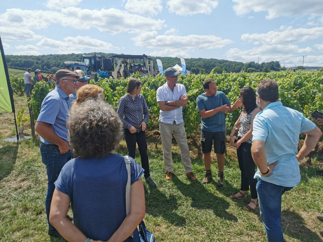 Eine kleine Delegation aus Rheinland-Pfalz war Mitte Juli zu Gast in Chablis und Mcon am Biocampus in Davay. In umfassenden Diskussionen und Vortrge drehten sich um die aktuellen Entwicklungen im kologischen Weinbau.