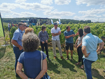 Eine kleine Delegation aus Rheinland-Pfalz war Mitte Juli zu Gast in Chablis und Mcon am Biocampus in Davay. In umfassenden Diskussionen und Vortrge drehten sich um die aktuellen Entwicklungen im kologischen Weinbau.