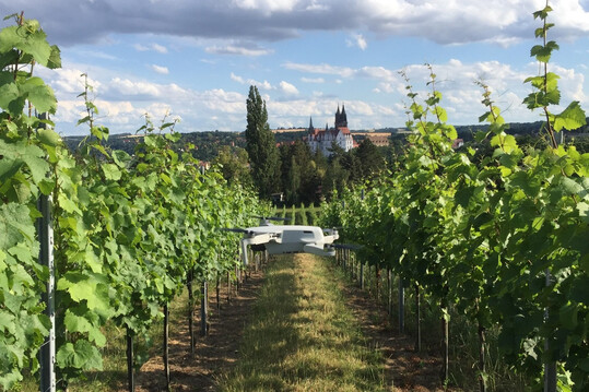 Netzwerktreffen auf Weingut Schloss Proschwitz am 6. August 2024.