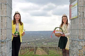  64. Frnkische Weinknigin Carolin Meyer und Frnkische Spargelknigin Christiane Reinhart (v. l. n. r.) vor den Weinbergen der Silvaner Heimat seit 1659. 