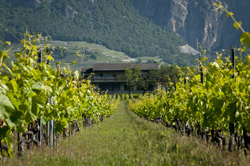 Im Wallis entsteht die neue Versuchsstation Weinbau und nologie.