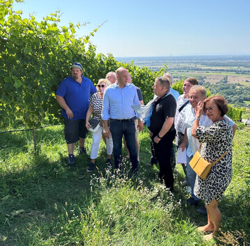 Weinbauminister Ingmar Jung (Mitte) im Bergstrer Reben- und Bltenhang in Zwingenberg.