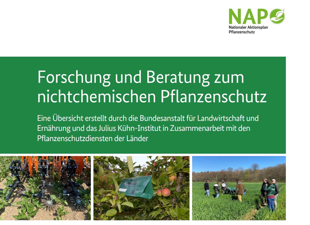 Eine neue Broschre gibt einen berblick ber Forschung und Beratung zu nicht chemischen Pflanzenschutzverfahren. 