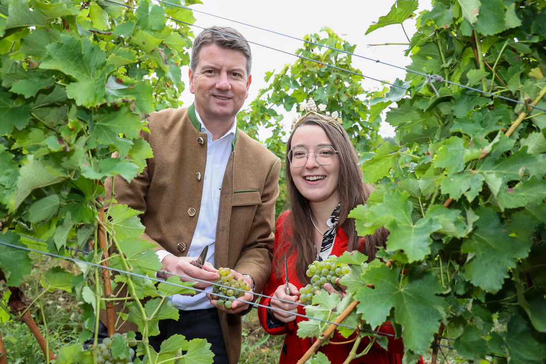 Die Frnkische Weinknigin Lisa Lehritter und Staatssekretr Sandro Kirchner prsentieren ihr Lesegut in Hammelburg.