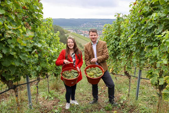 Staatssekretr Sandro Kirchner und die Frnkische Weinknigin Lisa Lehritter mit den ersten gelesenen Trauben im Weinberg. 