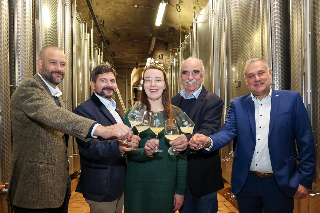Im Staatlichen Hofkeller Wrzburg wurden die aktuellen Daten zur Erntebilanz 2024 prsentiert (v. l.): Christoph Ruck vom Weinbauring Franken, Ralf Schwarz vom Bezirk Unterfranken, die Frnkische Weinknigin Lisa Lehrritter, Weinbauprsident Artur Steinmann und Dr. Matthias Mend von der Bayerischen Landesanstalt fr Weinbau und Gartenbau (LWG). 