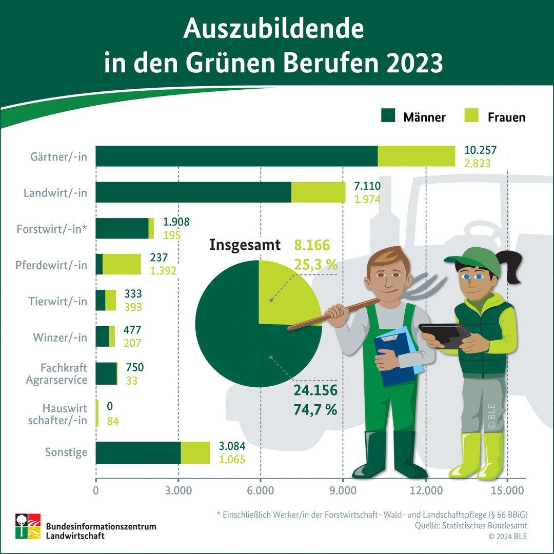 Zum zweiten Mal in Folge sanken die Ausbildungszahlen in den Grnen Berufen. 