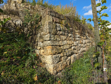 Eine Trockenmauer in einem Steillagenweinberg.