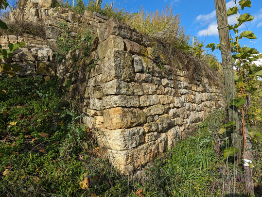 Eine Trockenmauer in einem Steillagenweinberg.