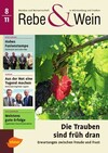 Cover Rebe & Wein 08/2011