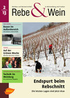 Cover Rebe & Wein 02/2013