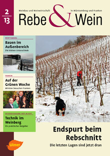Cover Rebe & Wein 02/2013
