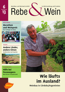 Cover Rebe & Wein 06/2013