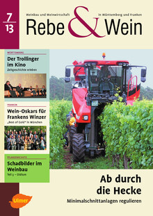 Cover Rebe & Wein 07/2013