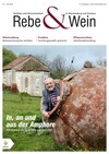 Cover Rebe & Wein 07/2018