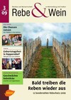 Cover Rebe & Wein 03/2009