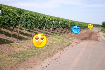 Erosion  oft kein schicksalhaftes Ereignis.