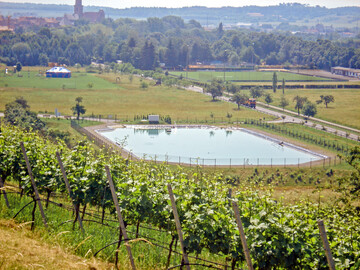 Technischer Zwischenspeicher zur Speicherung von Bewsserungswasser. Hier das Pufferbecken Sd des Vinqua-Wassermanagementsystems am Standort Volkach.