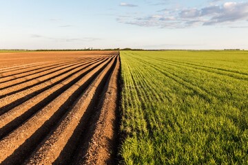 In der aktuellen Landwirtschaftszhlung wurde erstmals die Bedeutung von Unternehmensgruppen untersucht. Demnach werden elf Prozent der landwirtschaftlichen Flche von Unternehmensgruppen kontrolliert.