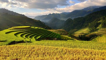Landwirtschaftliche Praktika in Asien bieten wertvolle Erfahrungen fr junge Menschen.