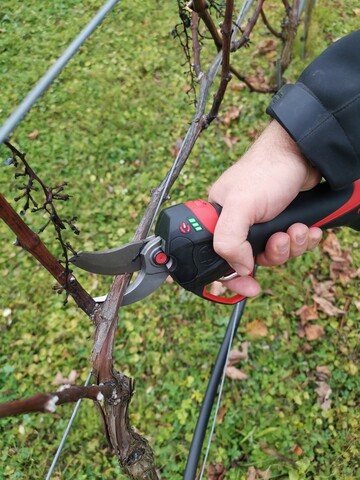 Auch im Jahr 2023 frdert die SVLFG wieder den Neukauf ausgewhlter Produkte, die der Sicherheit
und dem Gesundheitsschutz dienen.Dazu zheln zum Beispiel Akkuscheren fr den Weinbau.