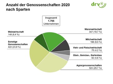 Die Anzahl der Genossenschaften im Jahr 2020 nach Sparten.