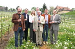 Das neue Führungsteam des Badischen Weinbauverbandes (von links): Franz Benz, Wilfried Dörr (jeweils Vizepräsidenten), Weinkönigin Katja Bohnert, Geschäftsführer Peter Wohlfarth (hinten), Präsident Kilian Schneider, Claus Burmeister und Ernst Nickel (jeweils Vizepräsidenten).