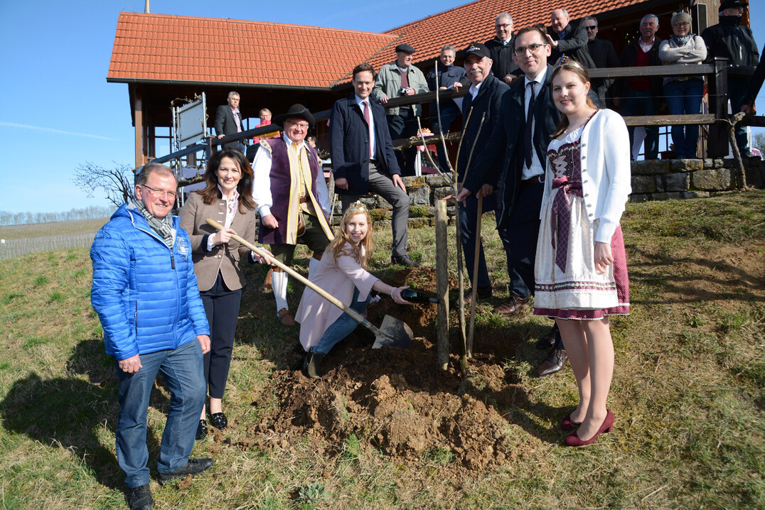 Zusammen mit vielen prominenten Helfern pflanzten die Schirmherrin der Aktion Michaela Kaniber und die Fränkische Weinkönigin Klara Zehnder in den Wipfelder Weinbergen einen Zwetschgenbaum. 
