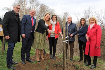 Mit vereinten Krften wurde in der Weinlage Sulzfelder Maustal ein Zwetschgenbaum gepflanzt (v.l.): Andreas Oehm (Genossenschaftsverband Bayern), Regierungsprsident Dr. Eugen Ehmann, Weinprinzessin Anika von Brunn (Sulzfeld), Frnkische Weiknigin Carolin Meyer. Brgermeister Gerhard Schenkel (Sulzfeld), Barbara Becker (MdL) und Landrtin Tamara Bischof (Lkr. Kitzingen). 